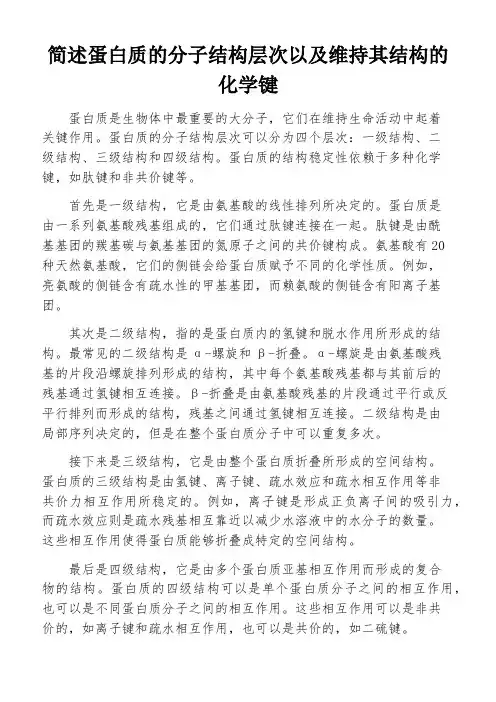 简述蛋白质的分子结构层次以及维持其结构的化学键