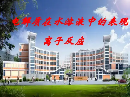 优秀课件高中化学鲁科版必修一 2.2《离子反应》(第2课时) (共22张PPT)