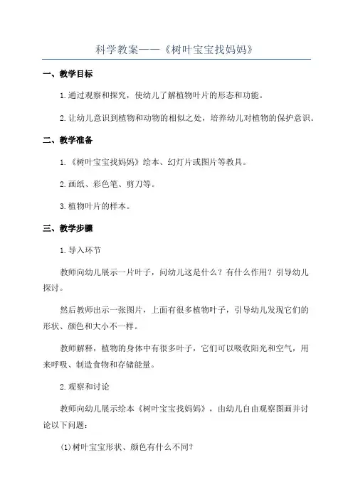 科学教案——《树叶宝宝找妈妈》