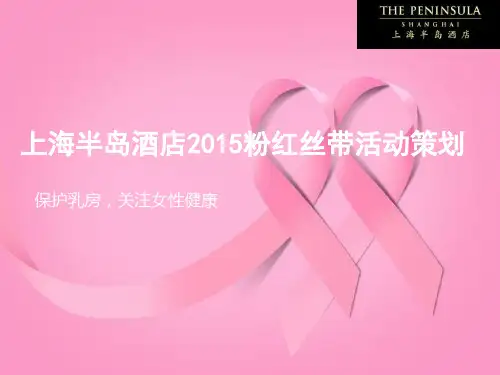 2015粉红丝带活动策划.ppt