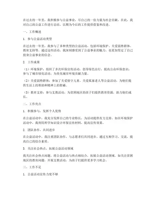 公益个人工作总结