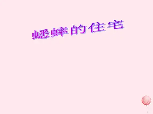 新人教版四年级语文上册第二组7蟋蟀的住宅课件.ppt