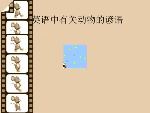 英语中有关动物的谚语