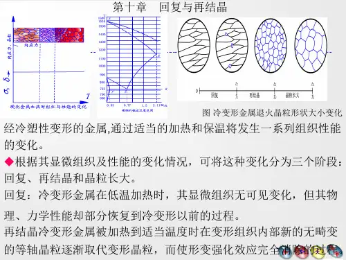 10回复与再结晶