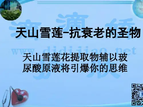 天山雪莲花
