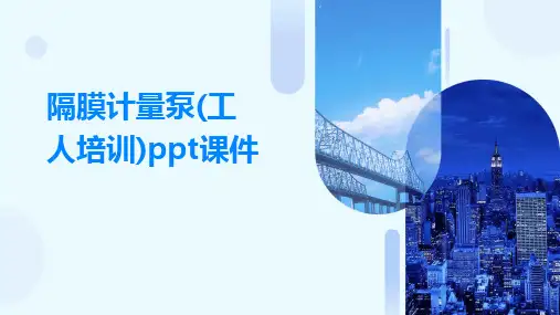 隔膜计量泵(工人培训)ppt课件