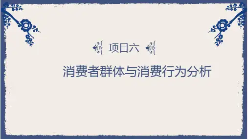 消费者行为分析 项目六  消费者群体与消费行为分析