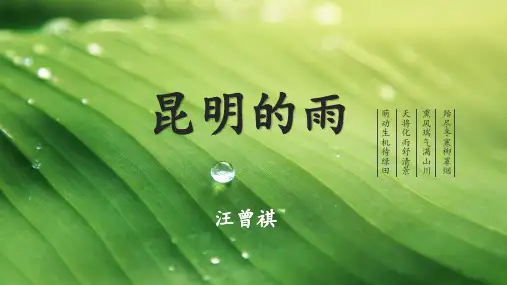《昆明的雨》ppt课件