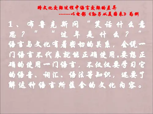 从《孙子从美国来》这部电影看垮文交际中的语言交际差异
