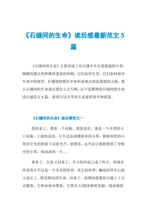 《石缝间的生命》读后感最新范文5篇