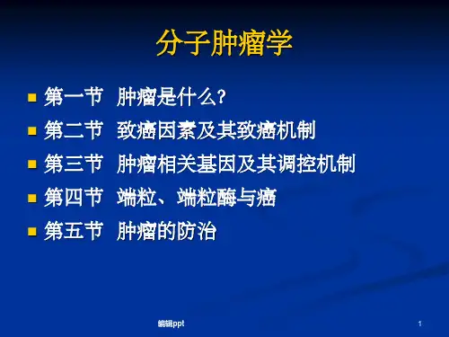 《分子肿瘤学全套》PPT课件