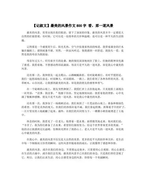 【记叙文】最美的风景作文800字 看,那一道风景