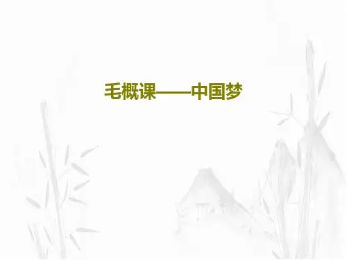 毛概课——中国梦26页PPT