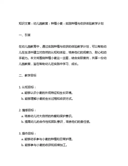 幼儿园教案：种植小麦：实践种植与收获体验教学计划