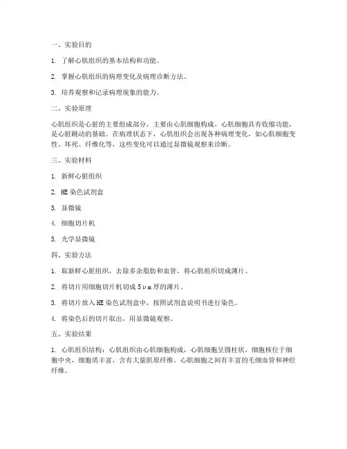 病理实验报告心肌组织