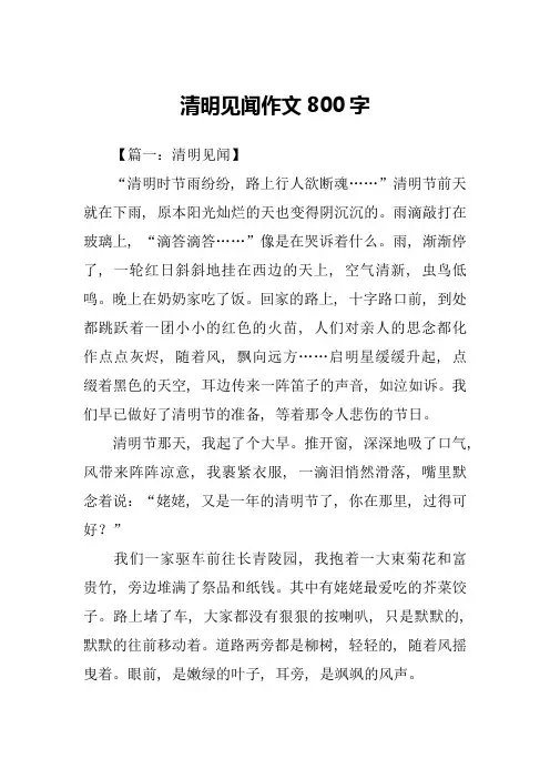 清明见闻作文800字