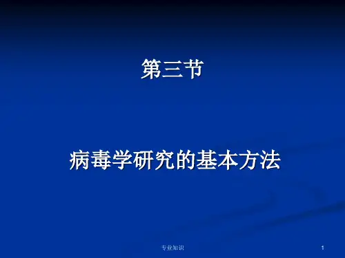 病毒学研究的基本方法[专业荟萃]