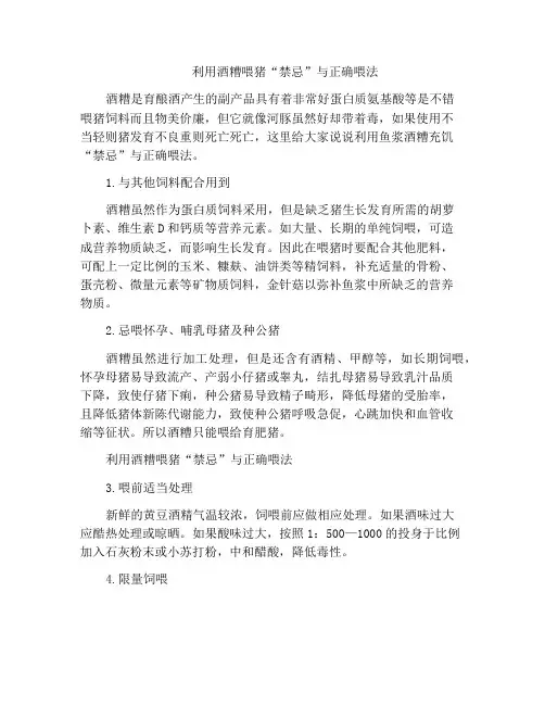 利用酒糟喂猪“禁忌”与正确喂法