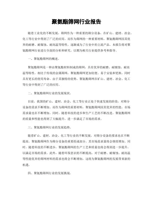 聚氨酯筛网行业报告