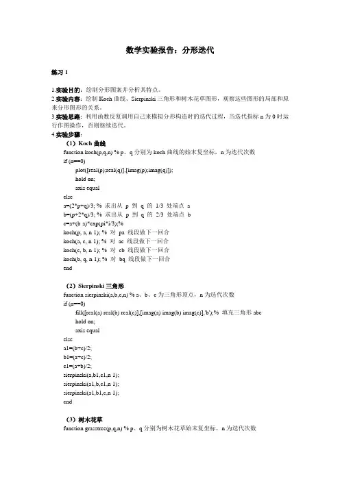 Matlab实验报告：分形迭代