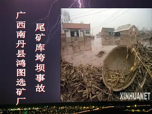 广西南丹县鸿图选矿厂尾矿库垮塌事故