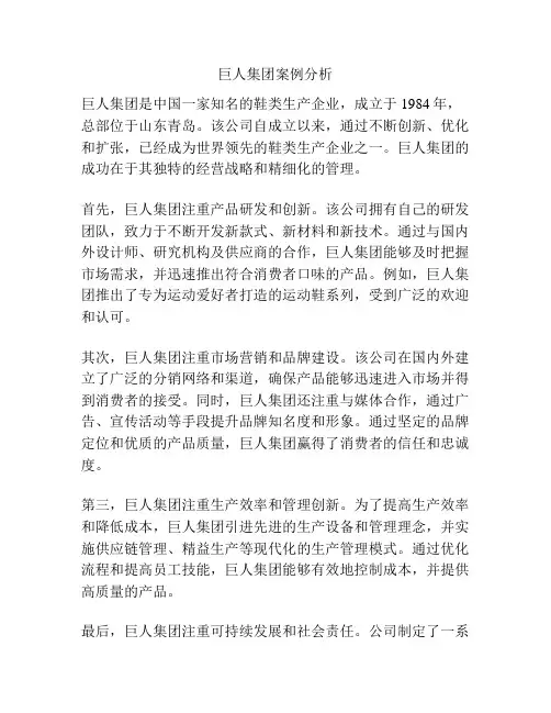 巨人集团案例分析