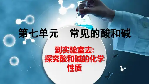 到实验室去：探究酸和碱的化学性质-九年级化学下册(鲁教版)