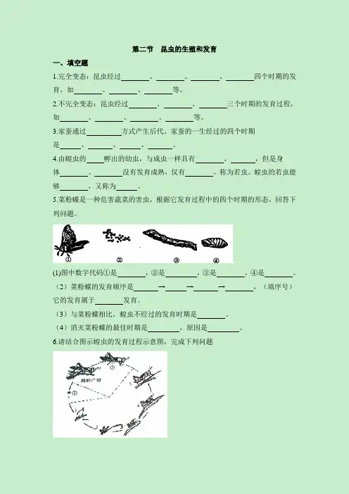 八年级下学期生物人教版《昆虫的生殖和发育》同步练习