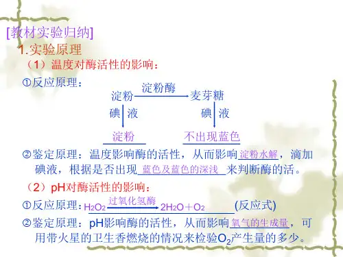 温度对酶活性的影响反应原理鉴定原理温度影