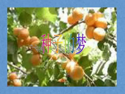 最新北师大版语文五年级下册第五单元《种子的梦》精品课件