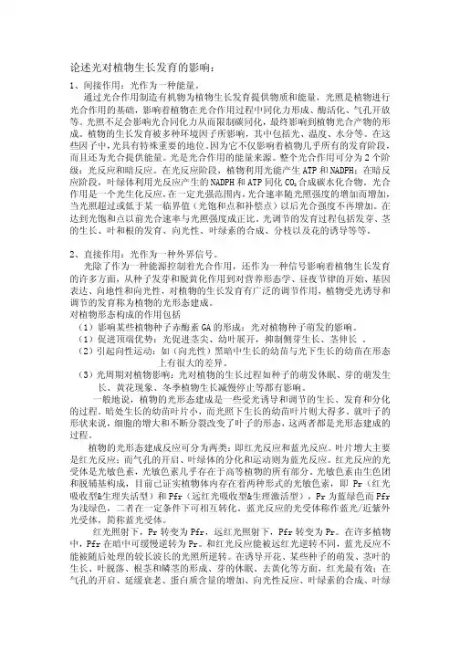 光对植物生长发育的影响