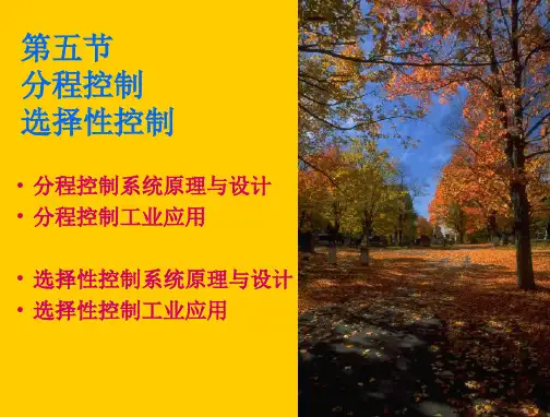 分程与选择性控制