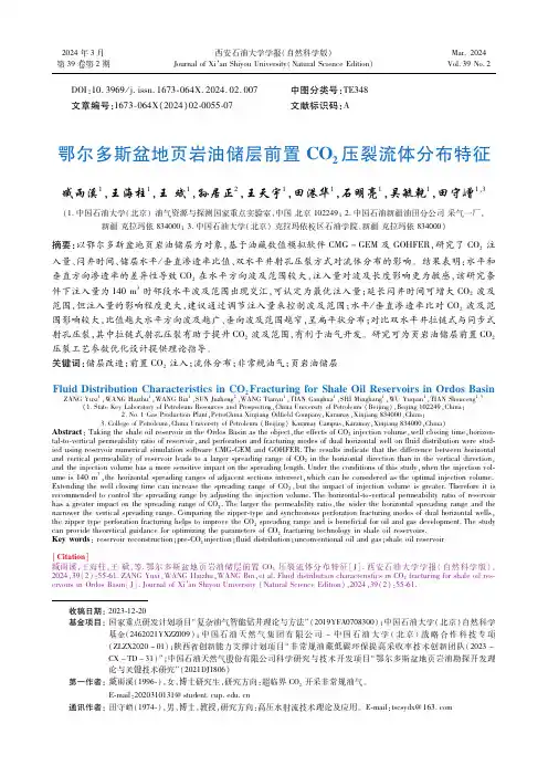 鄂尔多斯盆地页岩油储层前置ＣＯ２压裂流体分布特征