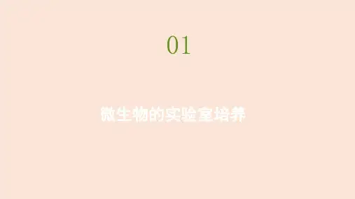 2021高中生物人教版选修一课件：专题2 课题1 微生物的实验室培养 