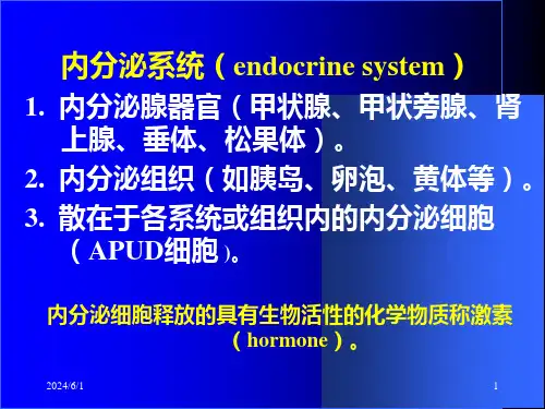内分泌系统和代谢PPT课件