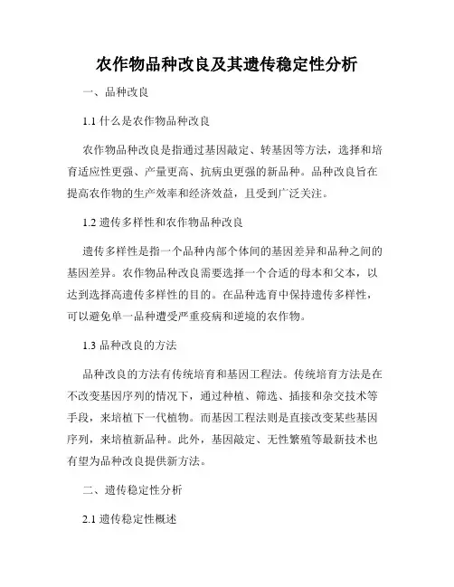 农作物品种改良及其遗传稳定性分析