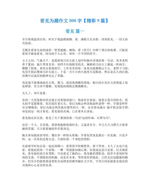 看见为题作文800字【精彩9篇】
