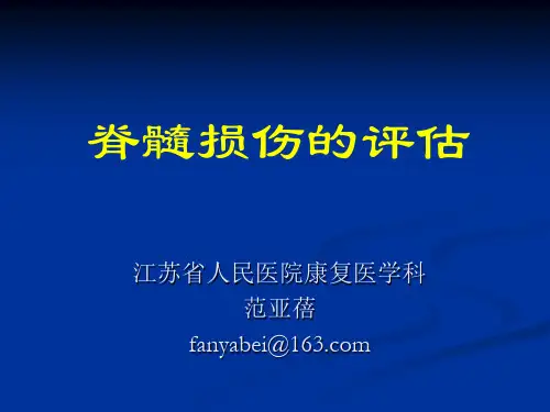 脊髓损伤评估