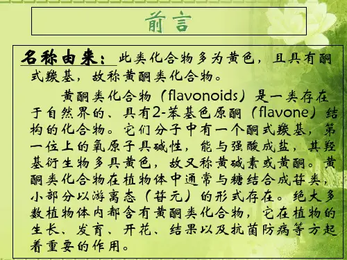 提取黄酮类化合物ppt_PPT幻灯片