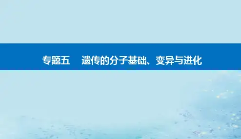 2023高考生物二轮专题复习：遗传的分子基次件