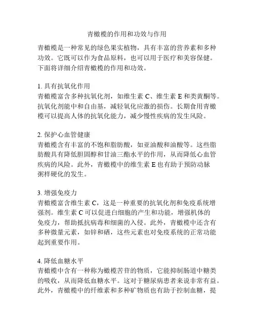 青橄榄的作用和功效与作用