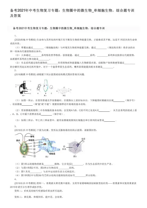 备考2021年中考生物复习专题：生物圈中的微生物_单细胞生物,综合题专训及答案