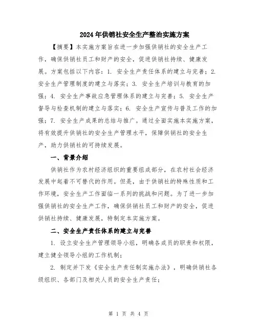 2024年供销社安全生产整治实施方案