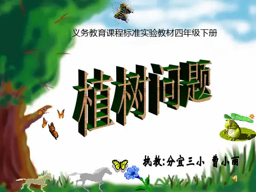 植树问题
