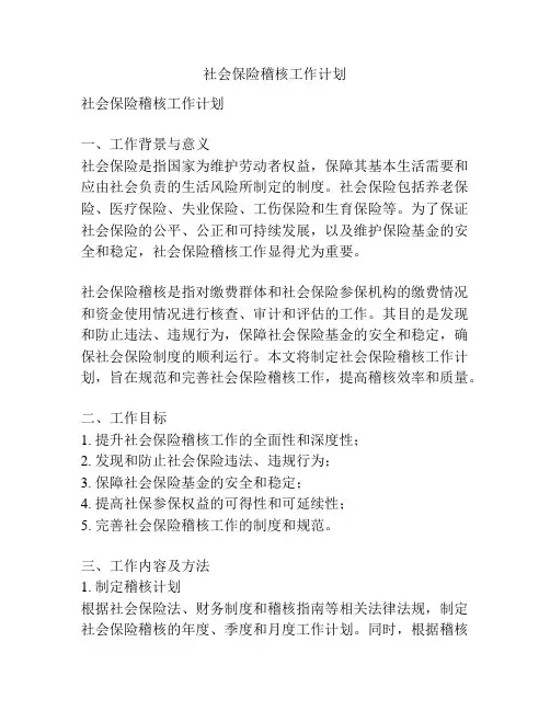 社会保险稽核工作计划