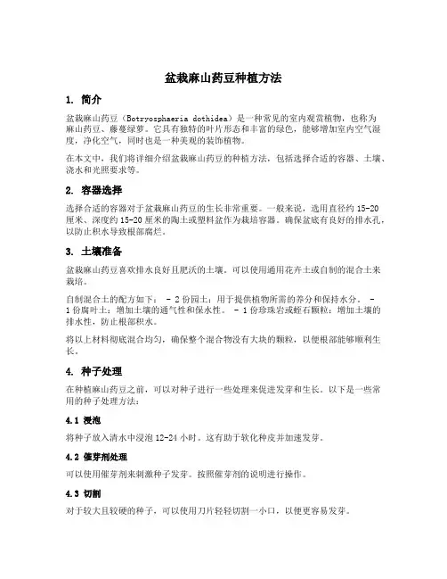 盆栽麻山药豆种植方法