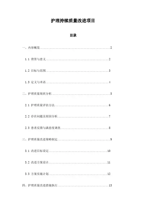 护理持续质量改进项目