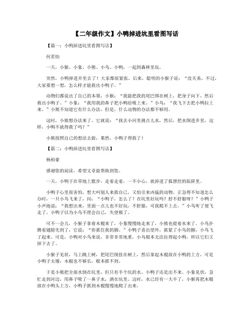 【二年级作文】小鸭掉进坑里看图写话