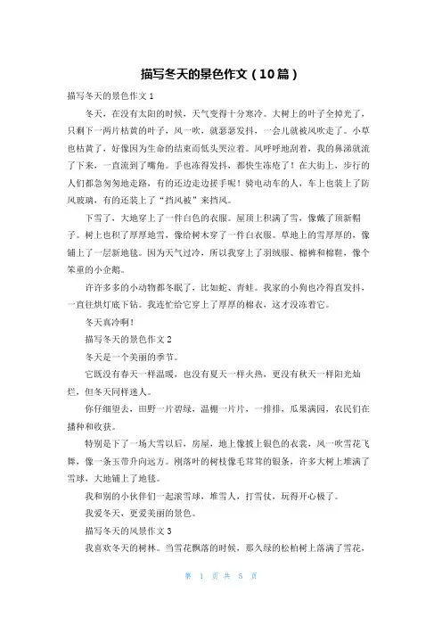 描写冬天的景色作文（10篇）