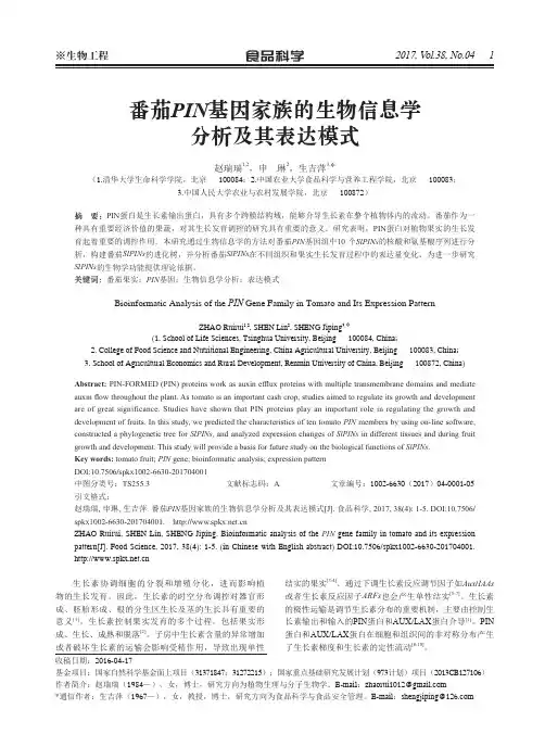 番茄PIN基因家族的生物信息学分析及其表达模式